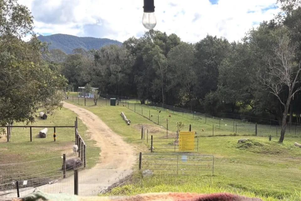 Hire the Farm - Exclusive Use at City Chicks Farm and Cafe, Samford Valley